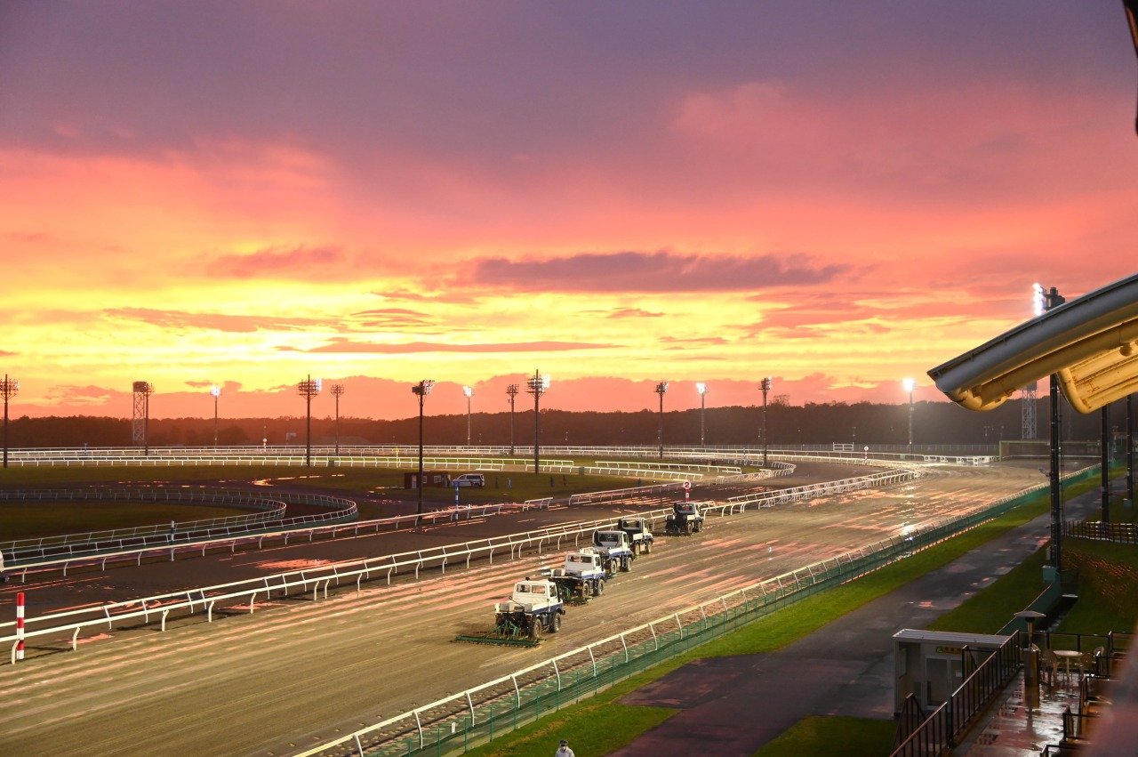 🏇 몬베츠 경마장 이미지 5